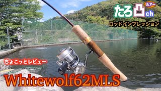 Buy It on Sight! Reviewing an All-Purpose Rod
