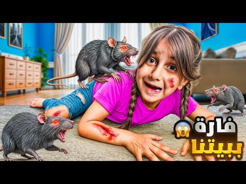 فارة اقتحمت بيتنا وهجمت على ذهب هي ونايمة صار شي ماكنا نتوقعه