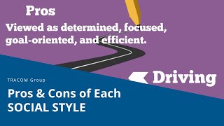 Pros and Cons of Each SOCIAL STYLE