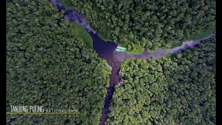 Exotica The Black River Tanjung Puting National Park