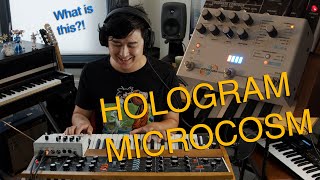 Hologram Microcosm: First Impressions By A Musician Who Doesn't Know Anything About It (Yet)