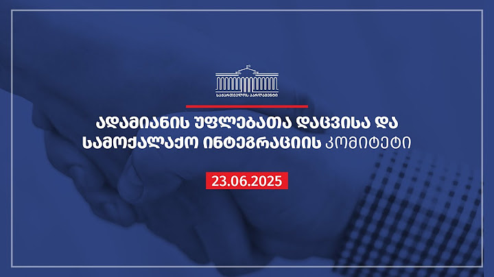 ადამიანის უფლებათა დაცვისა და სამოქალაქო ინტეგრაციის კომიტეტის სხდომა- 23.06.2025