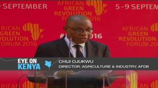Africa's agricultural revolution