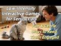 Low-Intensity Interactive Games for Senior Cats: Fun & Gentle Ways to Keep Them Engaged