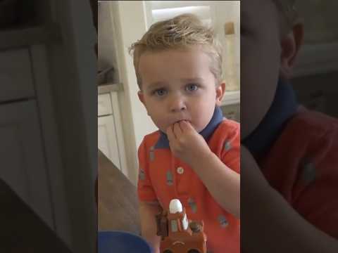 This 2 Year Old Survived A Near Death Experience After A Rattlesnake Bite News Snakes