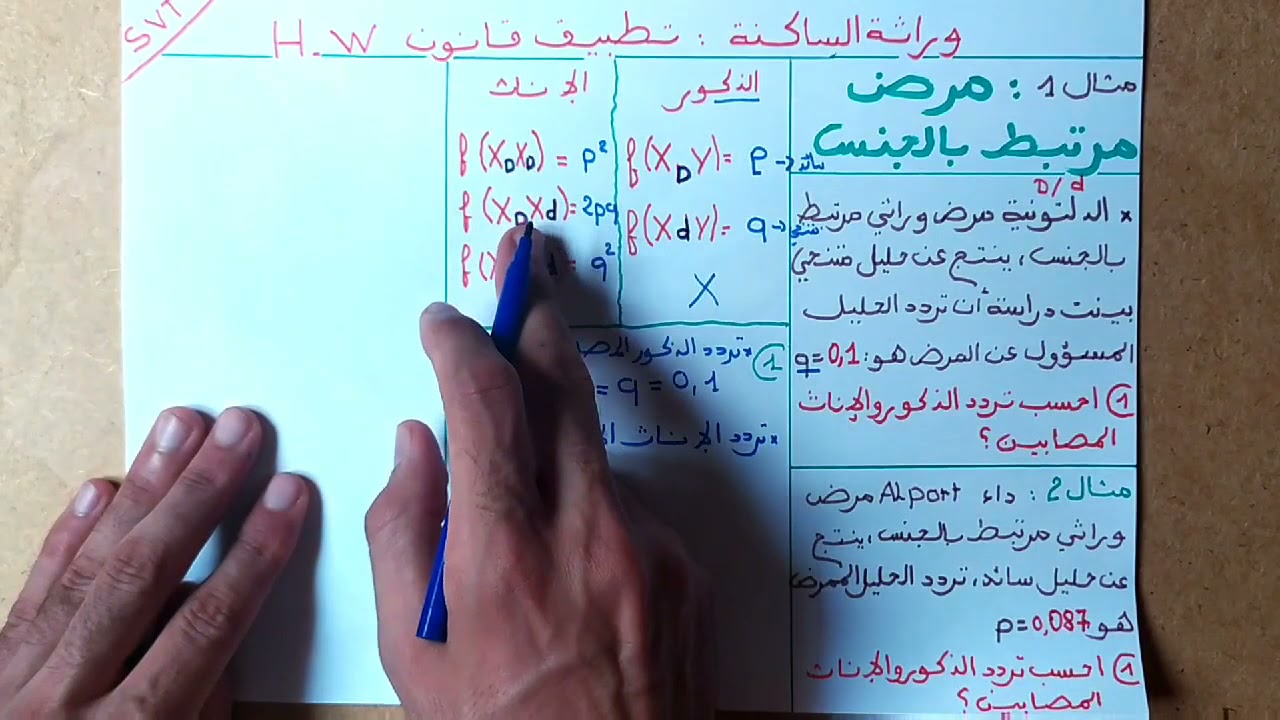 وراثة الساكنة (4): مرض مرتبط بالجنس     #طريقة_ الإجابة