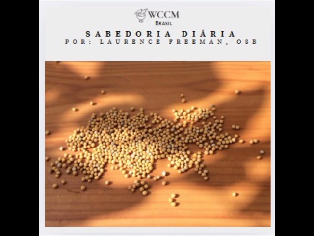 Sabedoria Diária de 24.4.2025. #meditaçãocristã  #wccm #contemplation #contemplação