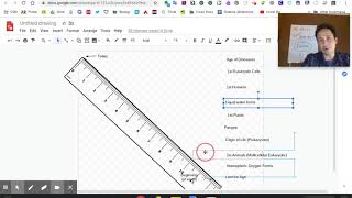 15 Minute: Natural History Timeline Activity for Distance Learning