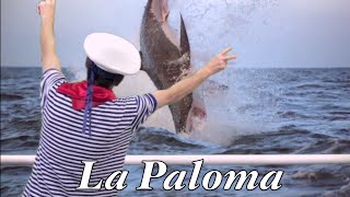 Video thumbnail of "La Paloma - funny Harmonica by Harproli"