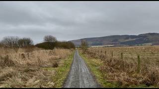 30mins Outdoor Workout #treadmillscenery #treadmillwalk #focussounds #nature #calming 
