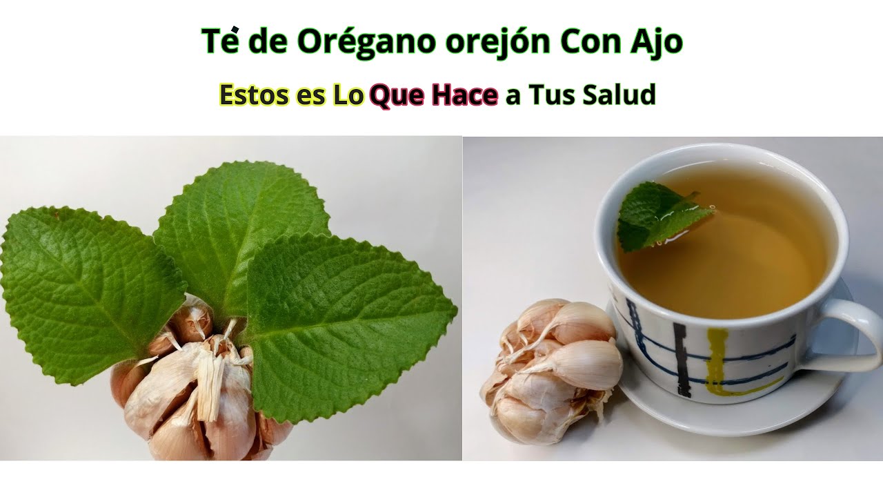 El Té de Orégano Orejón Puede Ayudarte a librarte de 10 Enfermedades