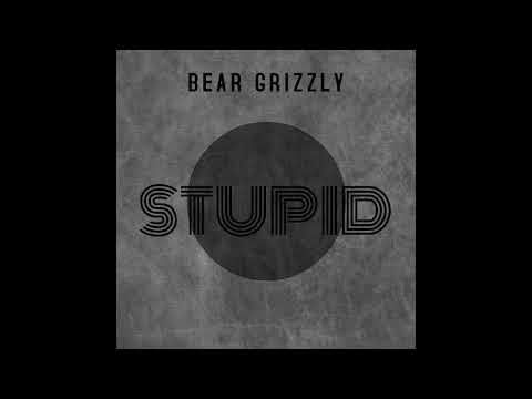 Bear Grizzly- Stupid