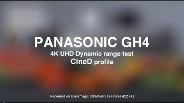 Panasonic GH4 4K UHD - Dynamic range in Cine4 profile