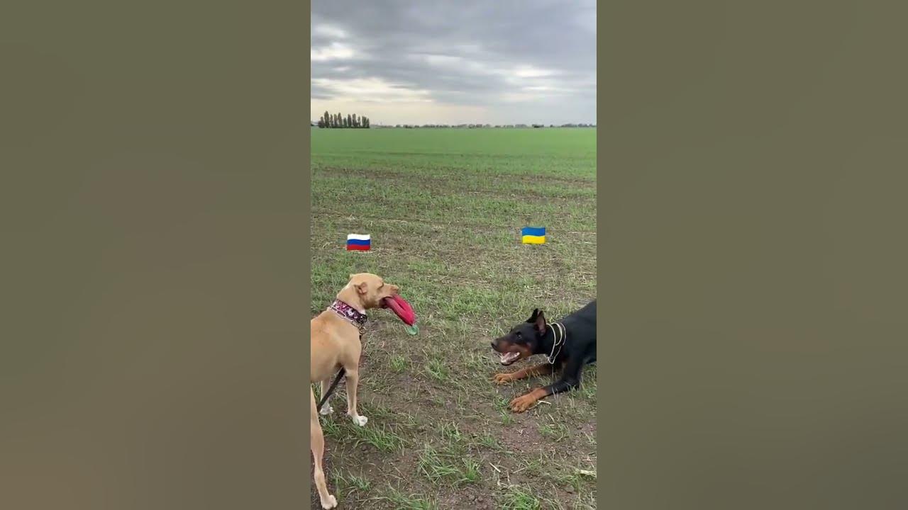 украина говно Россия топ - YouTube