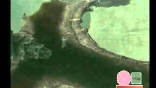 Shadow Of The Colossus The Pigeon