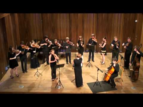 Anna pelinov, smycov orchestr | A. Vivaldi: Koncert F dur | ZU Sokolovsk