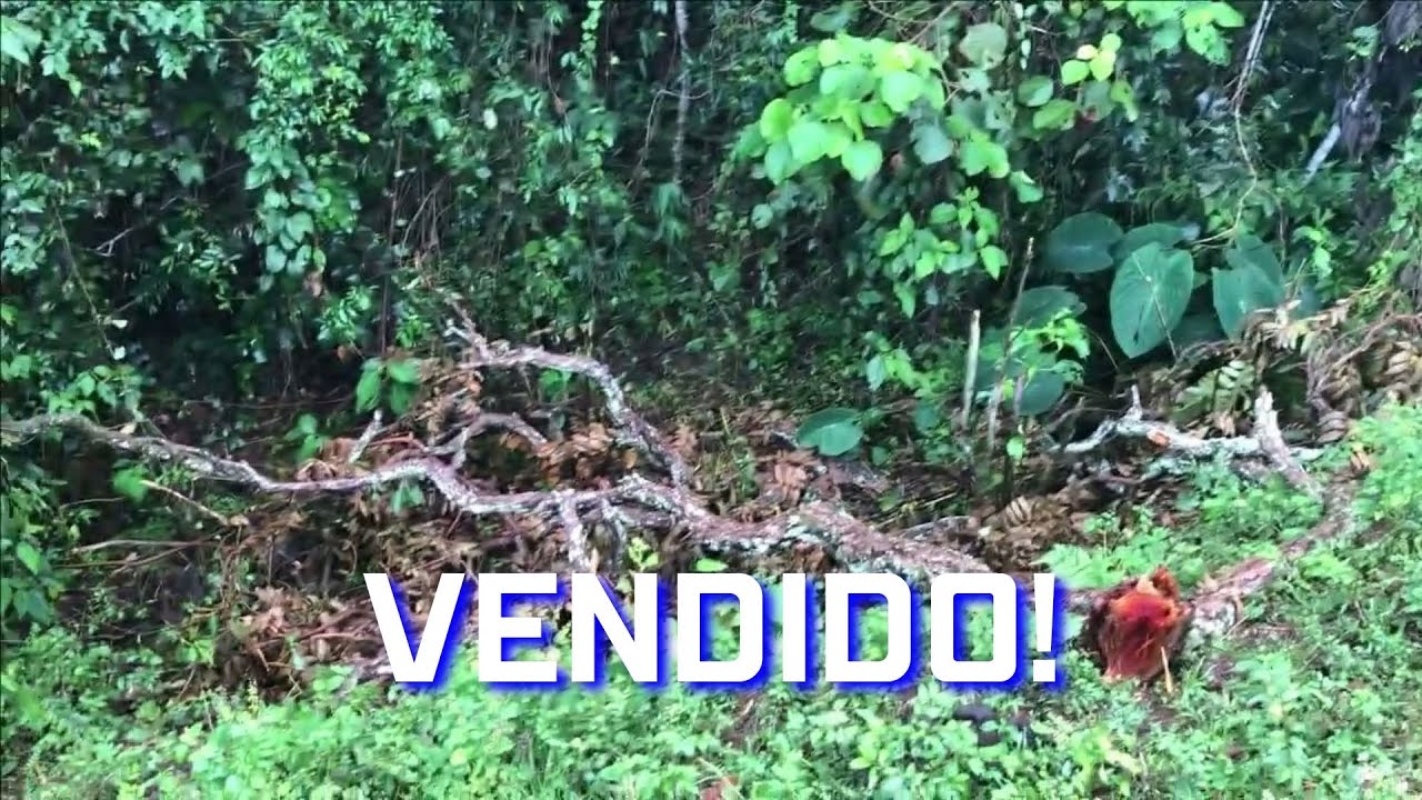 VENDIDO! Sítio de 14,52 ha + Curral  +  Casa + Córregos e Energia Elétrica no Sul de Minas.