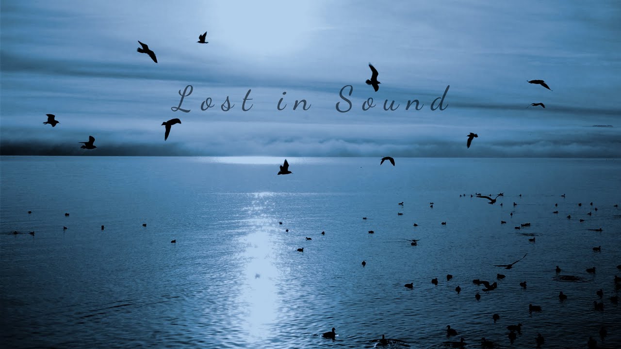 craving peace (playlist)