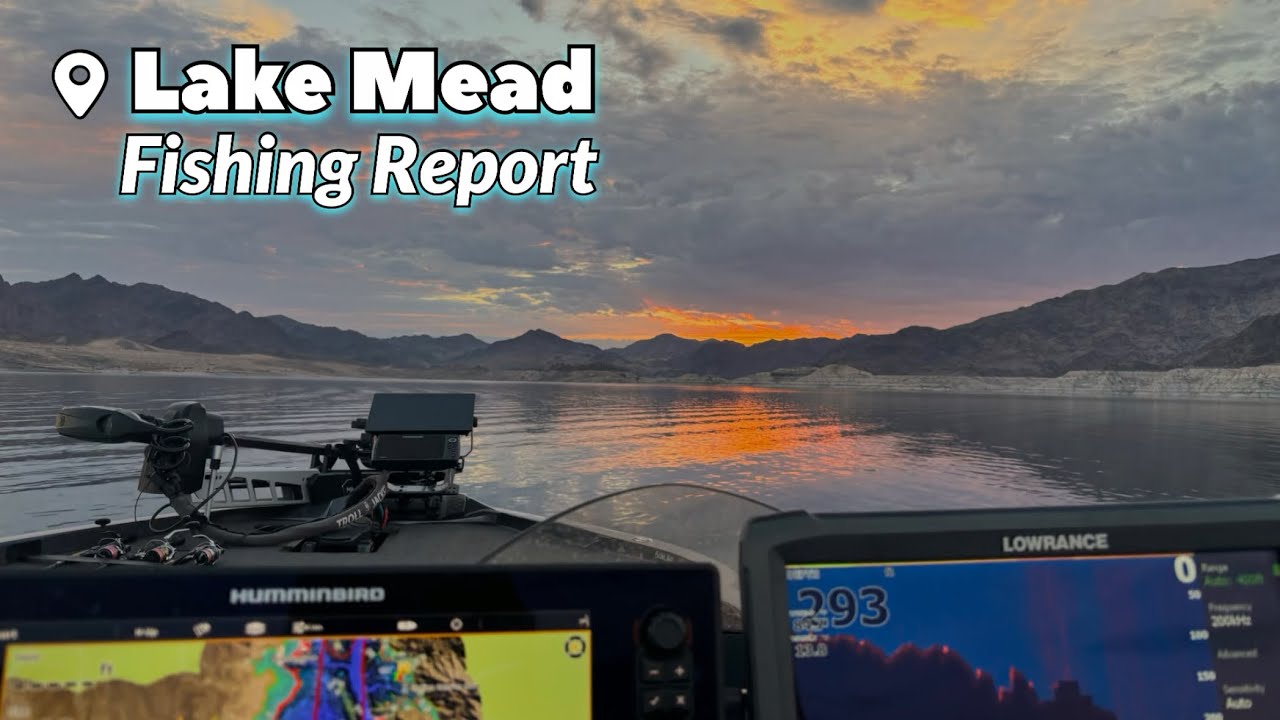 Lake Mead Fishing Report • Bring on the Rain!
