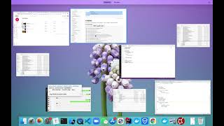 049 Concurrency Testing