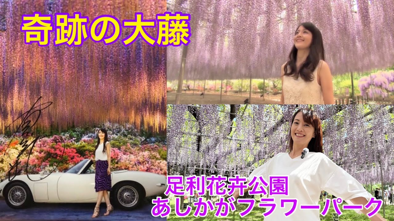 ★足利花卉公園★あしかがフラワーパーク 夢の楽園