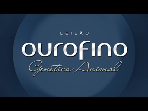 Lote 28 (Aplauso OuroFino - OURO 2712 / Rolex OuroFino - OURO 2731)