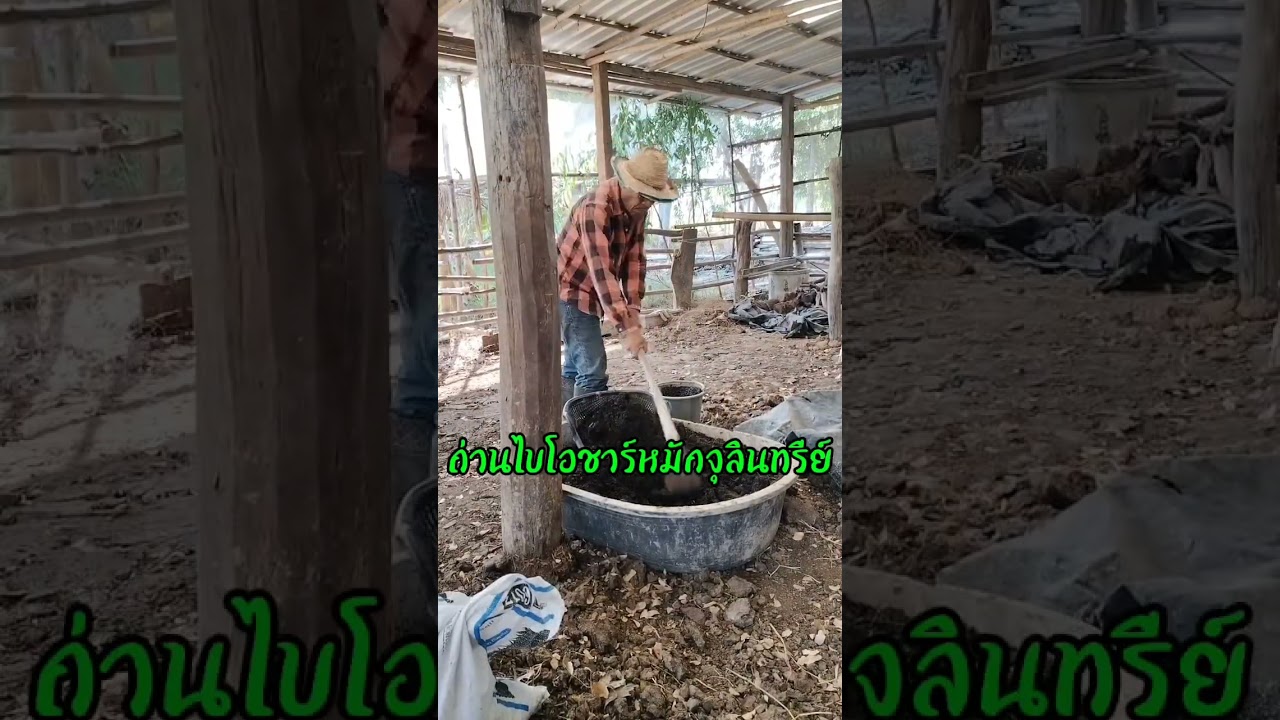 ฟื้นฟูดินเก่าให้มีชีวิต