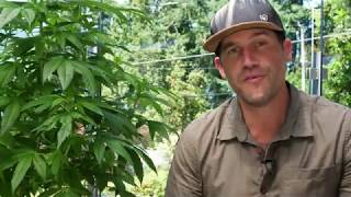 The Outdoor Vegetative Stage - Teaser