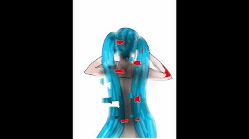 an animation I made on framecast ~ ᴛʜᴇ ᴅɪsᴀᴘᴘᴇᴀʀᴀɴᴄᴇ ᴏғ ʜᴀᴛsᴜɴᴇ ᴍɪᴋᴜ ~