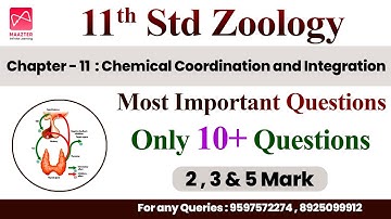 11th Std Zoology | Public Centum Plan | Chapter - 11 | Most Important Questions |Only 10+ Questions|