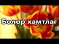 Олон жилийн хойно Болор хамтлаг Ч Цэрэндаваа