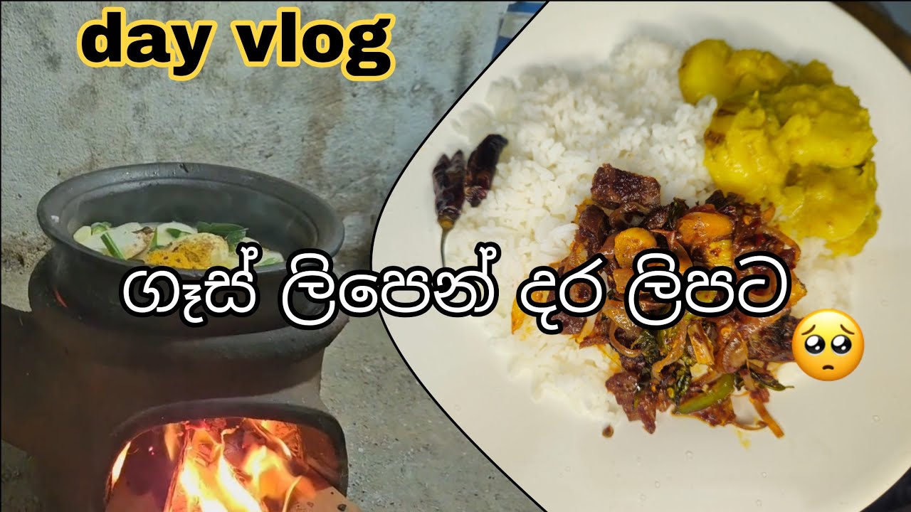 අද කාලෙකින් ගමේ විදියට දර ලිපේ ඉව්වා🔥  srilankan village  cooking👌
