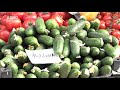 AGRO TV News – 04. 05. 2021