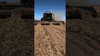 Colheitadeira Brasileira De De Feijão