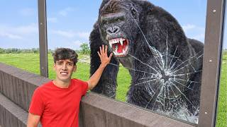 🩸Encuentro los Monstruos Más Peligrosos del Mundo 🩸