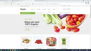 Hướng dẫn tạo layout website cơ bản nhất bằng HTML và CSS