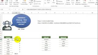 Video 00090 Validation Cleanup: How many invalid entries?