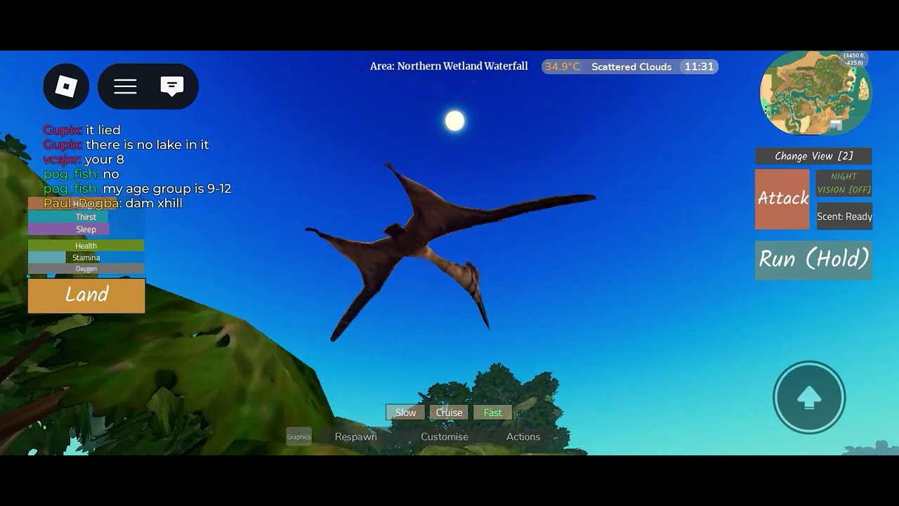 Another Wetlands update 