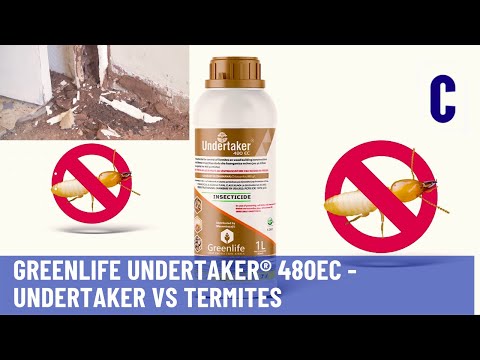 Greenlife Undertaker® 480EC Undertaker Vs Termites