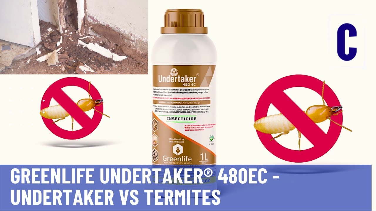 Undertaker Insecticide Greenlife Undertaker® 480EC Undertaker Vs Termites - YouTube
