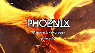 Download lagu Lyrics   Vietsub | Phoenix - Netrum & Halvorsen