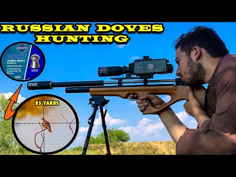 Airgun Hunting with Artemis P15 | Russian Doves Hunting in Pakistan Season 2023