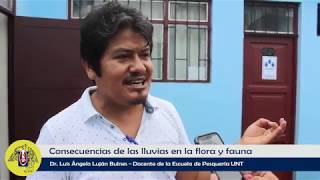 Docentes UNT declaran sobre el clima en Trujillo