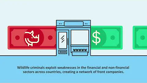 Money Laundering and the Illegal Wildlife Trade