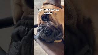 Ive Tried To Like People