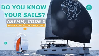 Do you Know all of the Sails you will see on a Sailing Catamaran Code 0, Code D, Code 55, Code 65.