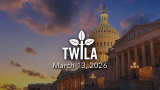TWILA — March 13, 2026