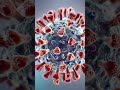 #coronavirus #3danimation #medicalanimation #scientificanimation