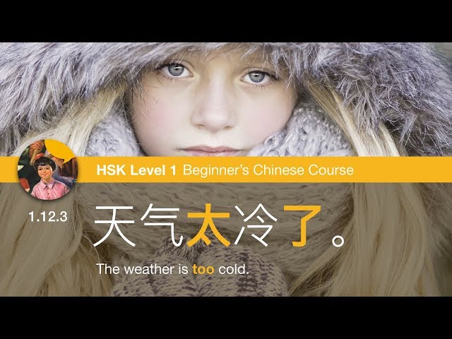 1.12.3 Say "too much" with 太 | HSK 1 Beginner's Chinese Course