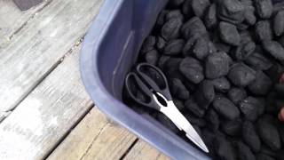 7 Bone Chuck Roast Day 2 (Part 1)